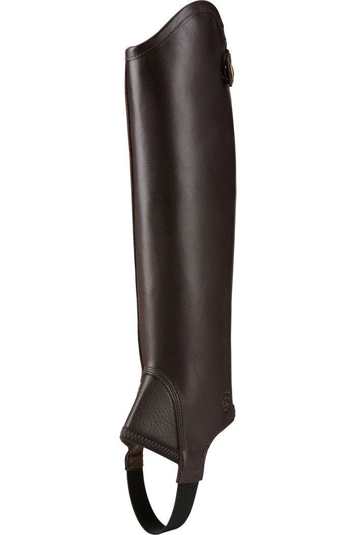 ariat concord
